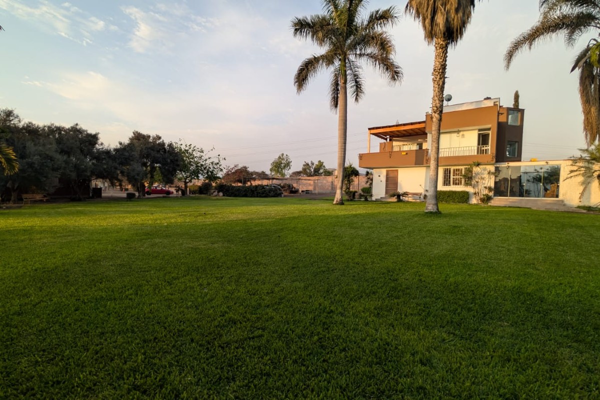 Fundo Cinco Olivos
