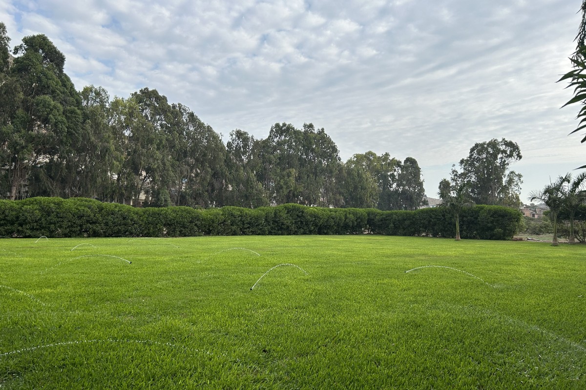 JARDÍN B