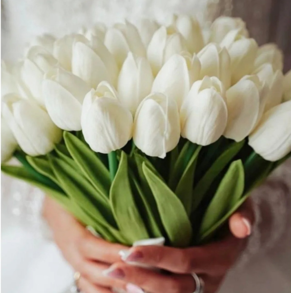 Glorias Garden bouquets y flores para novias 