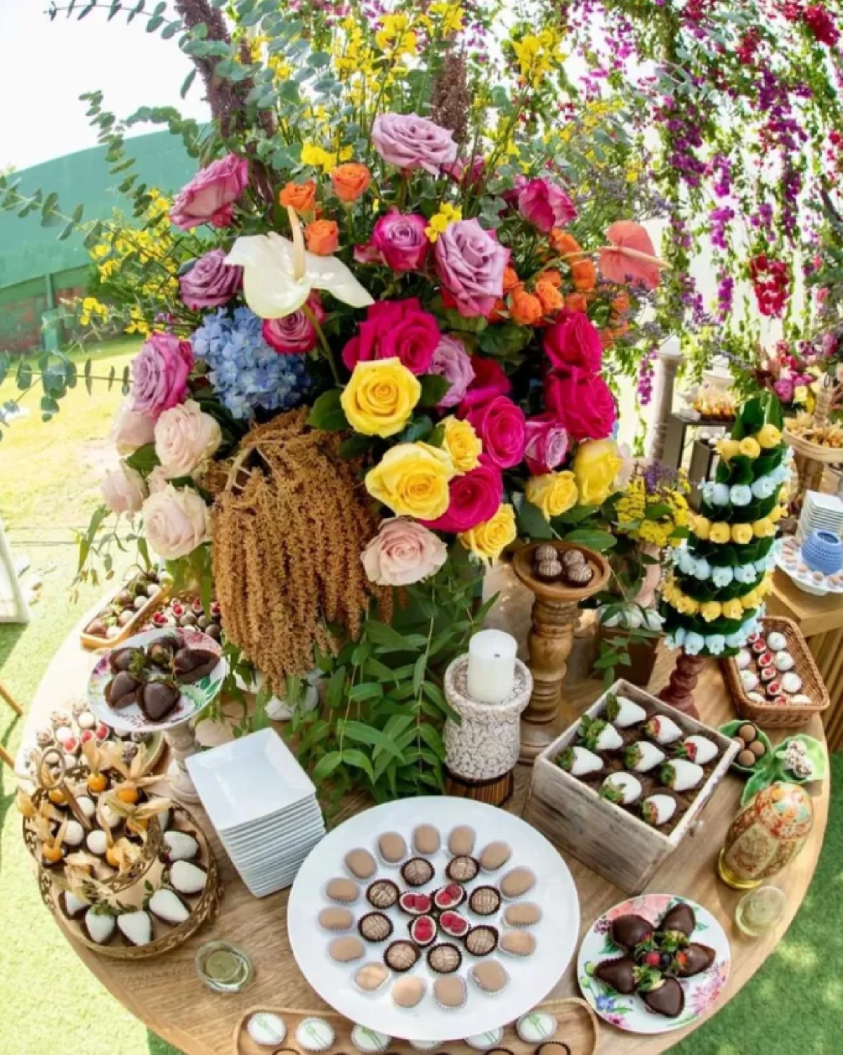 Eventos Nolte