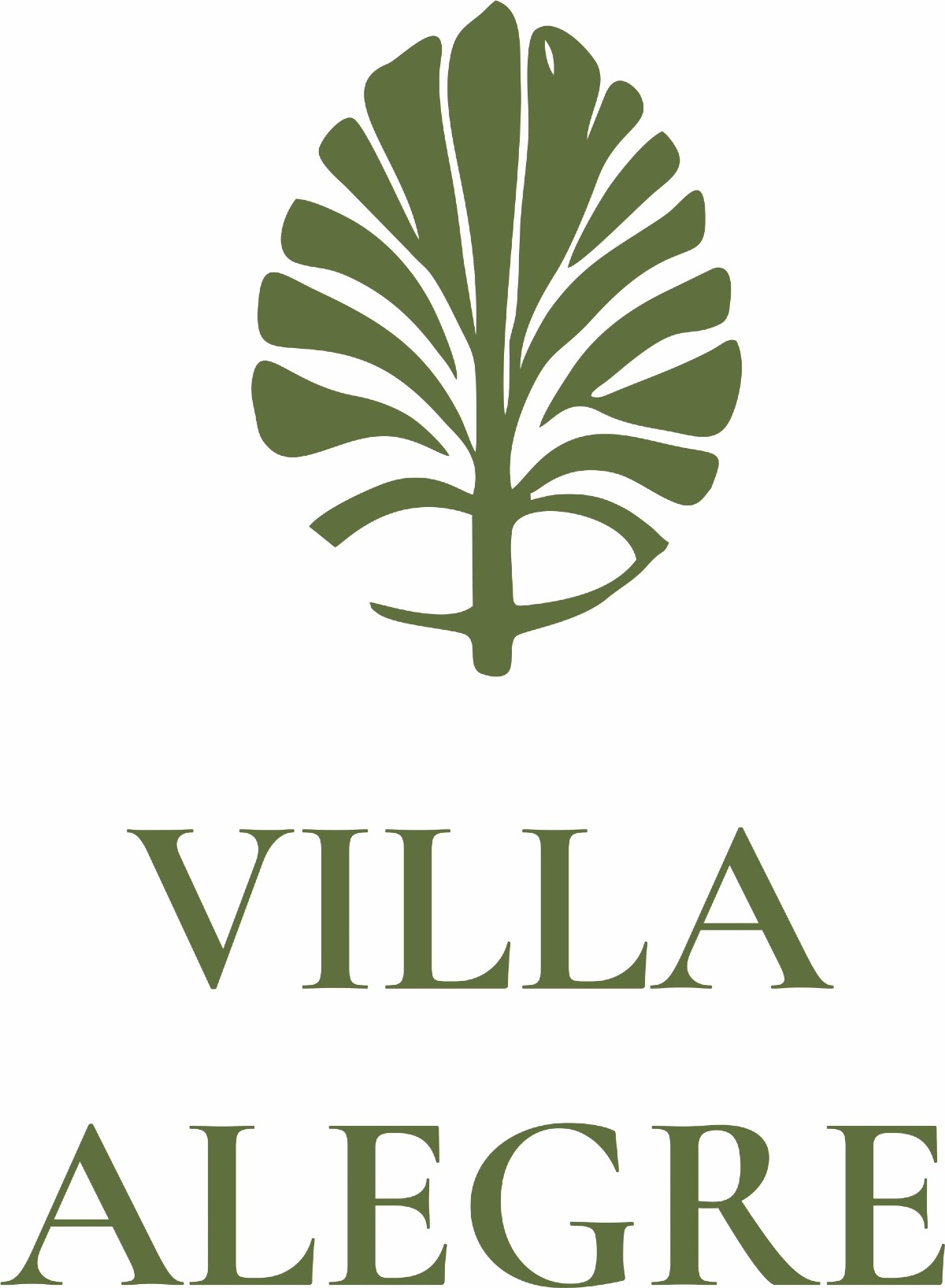 Villa Alegre